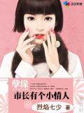 孽緣:市長有個小情人小說