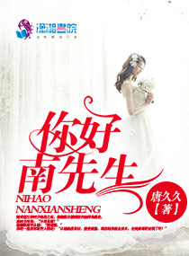 你好，南先生小說