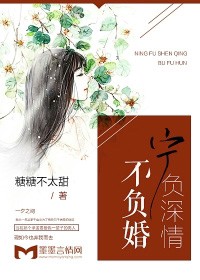 寧負深情不負婚小說