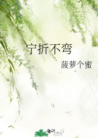 寧折不彎小說