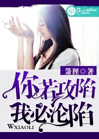 你若攻陷，我必淪陷小說