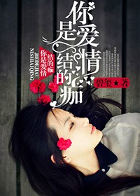 你是愛情結的痂小說