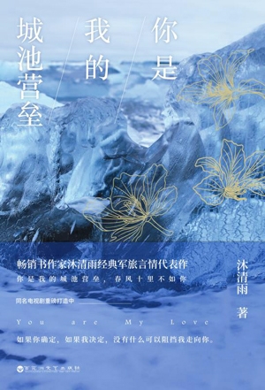 你是我的城池營壘小說