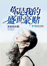 你是我的盛世豪賭小說