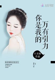 你是我的萬有引力小說