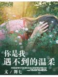 你是我遇不到的溫柔小說