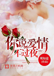 你說愛情不過夜小說