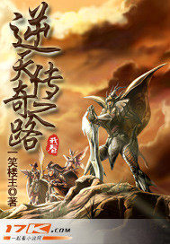 逆天傳奇之路小說