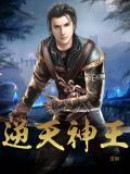 逆天神王小說