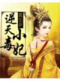 逆天小毒妃小說