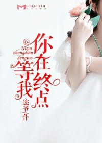 你在終點等我小說