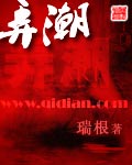 弄潮小說