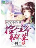 農家小醫仙：撿個王爺來砍柴小說