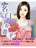 暖婚寵嫁：名門小妻子小說