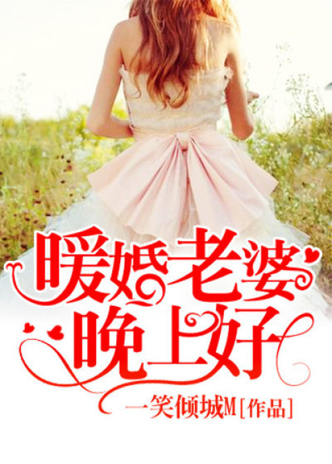 暖婚老婆晚上好小說