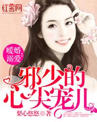 暖婚溺愛：邪少的心尖寵兒小說