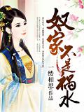 奴家不是禍水小說