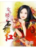 女兒樓之石榴紅小說