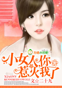 女人，你惹火我了小說
