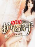 女神的護花高手小說