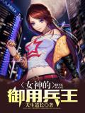 女神的御用兵王小說