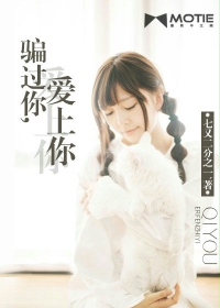 騙過你，愛上你小說