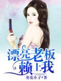 漂亮老闆賴上我小說