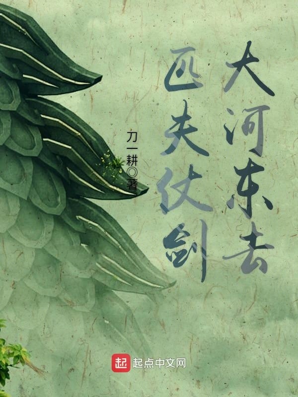 匹夫仗劍大河東去小說