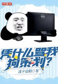 憑什麼罵我狗策劃？小說