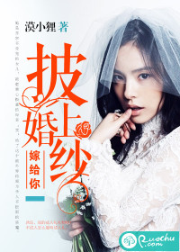 披上婚紗嫁給你小說