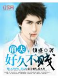 前夫，好久不賤小說