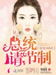 強寵108夜：總統，請節制小說