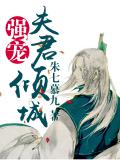強寵：夫君傾城小說