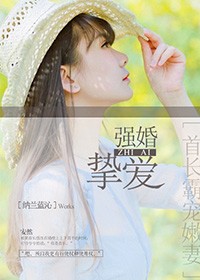 強婚摯愛，首長霸寵嫩妻小說