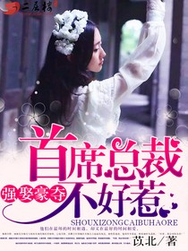 強娶豪奪：首席總裁不好惹小說