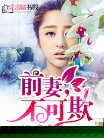 前妻，不可欺小說
