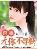 前妻,無你不尋歡小說