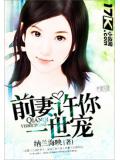 前妻,許你一世寵小說