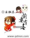 前妻有喜小說