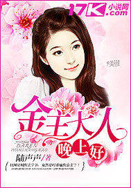 恰似晚風拂過心小說