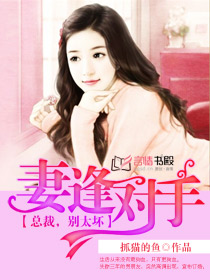 妻逢對手:總裁,別太壞小說