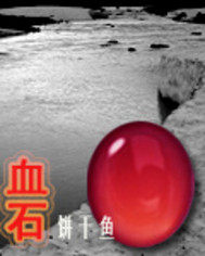 奇幻系列之血石小說