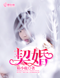 契婚小說