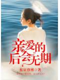親愛的，後會無期小說