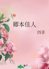 卿本佳人小說