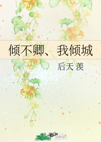 傾不卿、我傾城小說