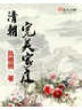 清朝完美家庭小說