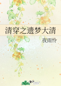 清穿之遺夢大清小說