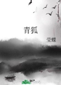 青狐小說