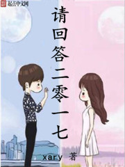 請回答二零一七小說